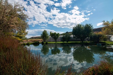 Discover 77 acres in the magical Hagerman Snake River Valley - photo 14