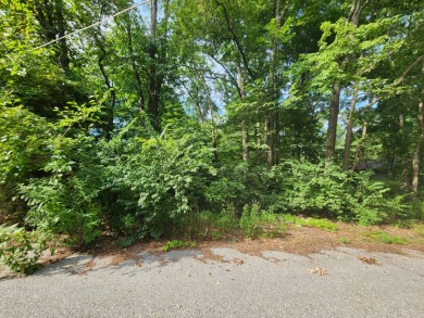 Gorgeous flat wooded lot in a Lake Community - Lake Lot For Sale in East Berlin, Pennsylvania