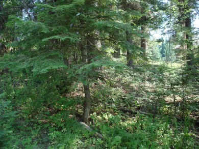 Payette Lake Lot For Sale in Mccall Idaho