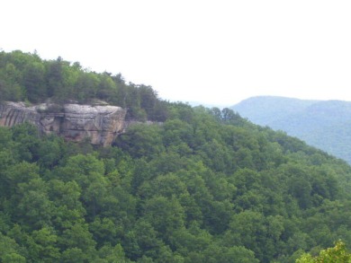 Lake Acreage For Sale in Wilder, Tennessee
