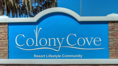 Welcome to Colony Cove, one of Florida's most desirable 55+ - photo 40