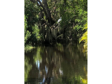Welcome to Colony Cove, one of Florida's most desirable 55+ - photo 43
