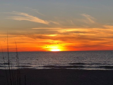 Welcome to Colony Cove, one of Florida's most desirable 55+ - photo 50
