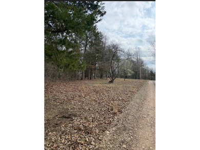This 5.3 acre lot is perfectly set near the lake and backs up to - photo 2
