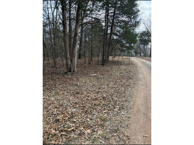 This 5.3 acre lot is perfectly set near the lake and backs up to - photo 3