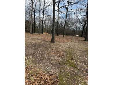 This 5.3 acre lot is perfectly set near the lake and backs up to - photo 4