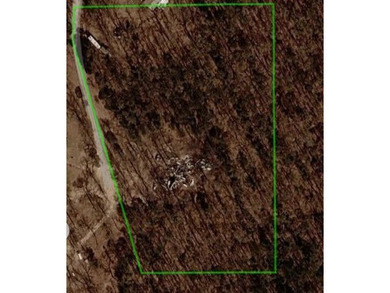 This 5.3 acre lot is perfectly set near the lake and backs up to - photo 5