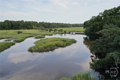 (private lake, pond, coastal) Lot For Sale in Richmond Hill Georgia