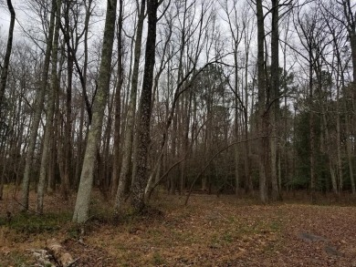 Lake Lot For Sale in Roanoke Rapids, North Carolina