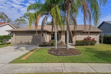 Lake Home Sale Pending in Palm Harbor, Florida