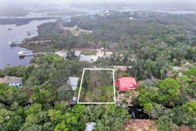 Homosassa River Lot For Sale in Homosassa Florida
