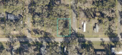 Lake Panasoffkee Lot Sale Pending in Lake Panasoffkee Florida
