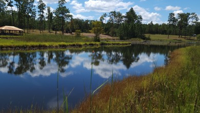 Lake Acreage For Sale in Donalsonville, Georgia