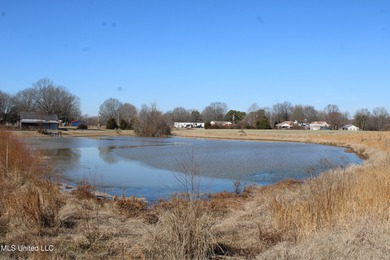 Lake Acreage For Sale in Olive Branch, Mississippi