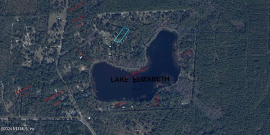 Lake Elizabeth - Alachua County Lot For Sale in Earleton Florida