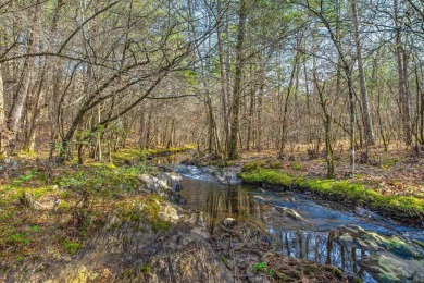 Lake Acreage For Sale in Mena, Arkansas