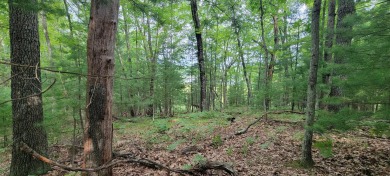 Lake Lot For Sale in Baldwin, Michigan