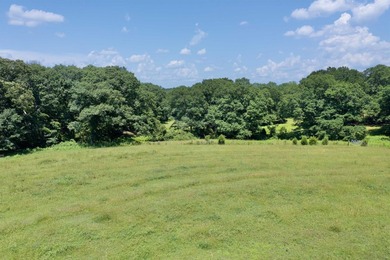 33.25 ACRES ON LAKE BLALOCK- A RARE OPPORTUNITY! Discover the - photo 7