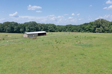33.25 ACRES ON LAKE BLALOCK- A RARE OPPORTUNITY! Discover the - photo 8