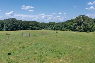 33.25 ACRES ON LAKE BLALOCK- A RARE OPPORTUNITY! Discover the - photo 9