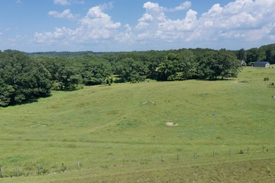 33.25 ACRES ON LAKE BLALOCK- A RARE OPPORTUNITY! Discover the - photo 10