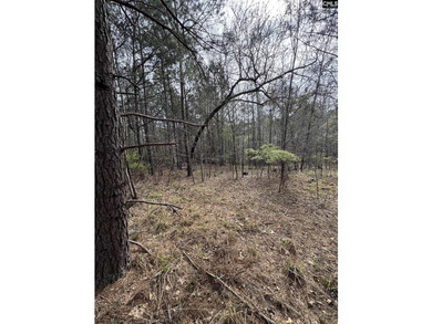 Additional listing photo 4