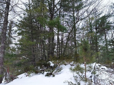 Lake Huron - Presque Isle County Lot For Sale in Rogers City Michigan