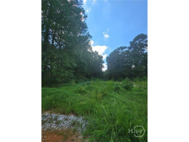 Lake Acreage For Sale in Statham, Georgia