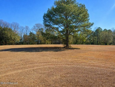Lake Lot For Sale in Lucedale, Mississippi