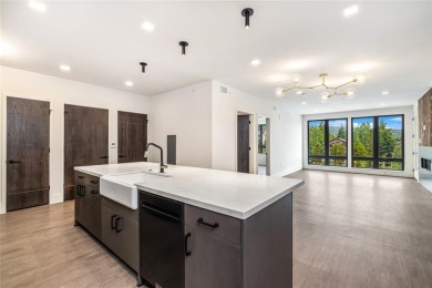 Dillon Reservoir Condo For Sale in Frisco Colorado