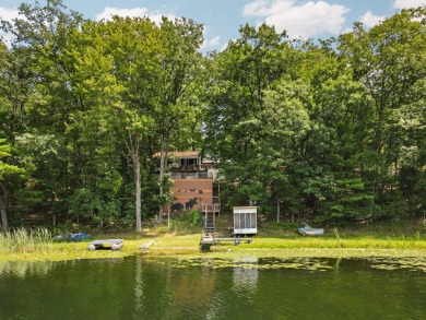 Lake Home For Sale in Baldwin, Michigan