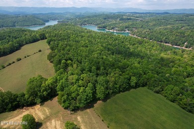 A rare gem awaits in the heart of the Big Creek area, boasting - photo 3