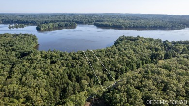 Lake Acreage For Sale in Allegan, Michigan