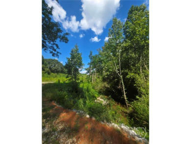 Lake Acreage For Sale in Statham, Georgia