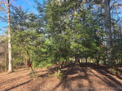 Lake Lot Sale Pending in Vass, North Carolina