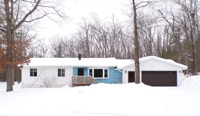 Mullett Lake Home Active Under Contract in Topinabee Michigan
