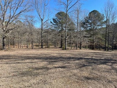 10461 Country Ln - photo 4
