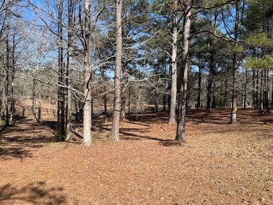 10461 Country Ln - photo 5
