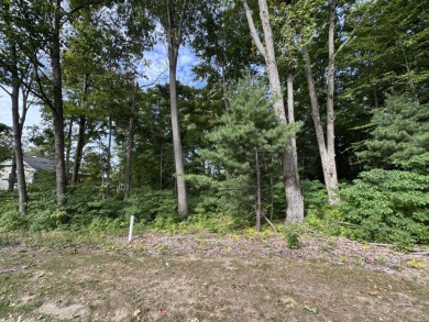 Lake Michigan - Van Buren County Lot For Sale in South Haven Michigan