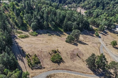 North Umpqua River Acreage For Sale in Roseburg Oregon