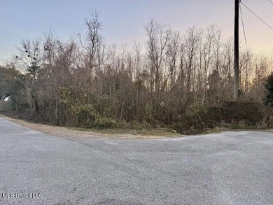 Excellent opportunity to develop new construction housing in a - photo 2