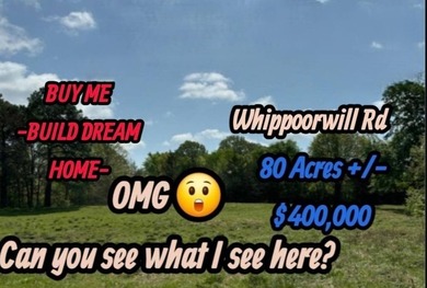 (private lake, pond, creek) Acreage For Sale in Garvin Oklahoma