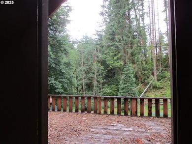 Great opportunity with fix it cabin, vacated for a few yrs. lot - photo 17