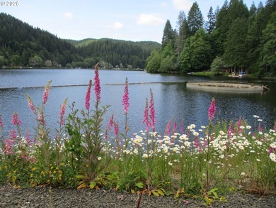 Great opportunity with fix it cabin, vacated for a few yrs. lot - photo 18