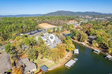 Lakefront Townhouse Condo on Lake Hamilton (Boat Included...Well - photo 33