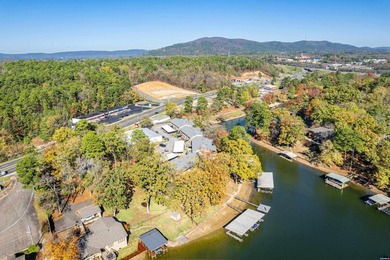 Lakefront Townhouse Condo on Lake Hamilton (Boat Included...Well - photo 34