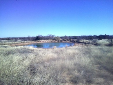 (private lake, pond, coastal) Acreage For Sale in Chico Texas