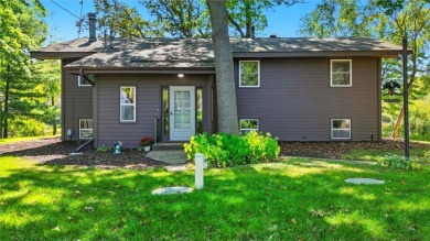Lake Home For Sale in East Bethel, Minnesota