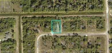 (private lake) Lot For Sale in Lehigh Acres Florida