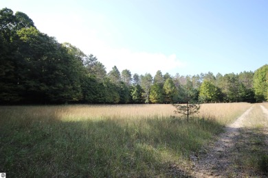 Lake Acreage For Sale in Kingsley, Michigan